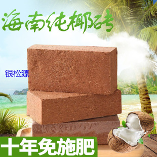 Ҭ�u�o�}�o���I�B��ͨ����Ҭ��Ҭ�����N���B���N�˷NֲҬ�u��һ��