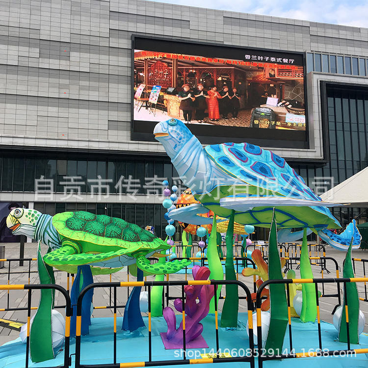海龟1.jpg