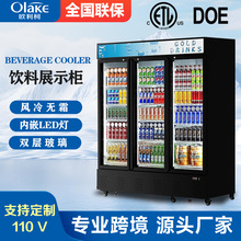风冷无霜饮料柜单双门啤酒展示柜商用冷藏保鲜柜立式冰柜便利店单