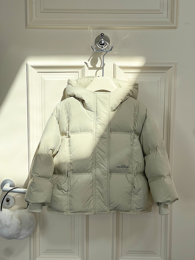 2024-11-08 113133.jpg