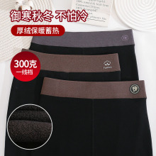 秋冬加绒加厚保暖裤高品质棉一线档女高腰弹力修身打底裤九分裤
