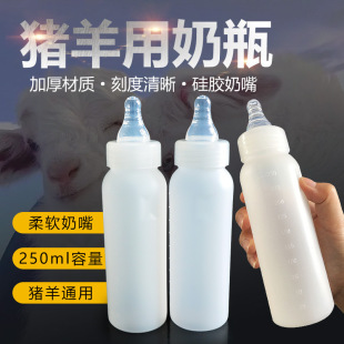 250ml������ƿ���i�̉،�������ƿС�i���z������������Bֳ��Ʒ