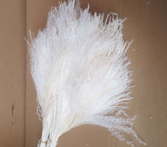 흰색 부드러운 머리 먼지 20 스틱