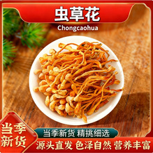 虫草花 精选虫草花干货 正宗虫草花菌菇煲汤食材孢子头金代发批发