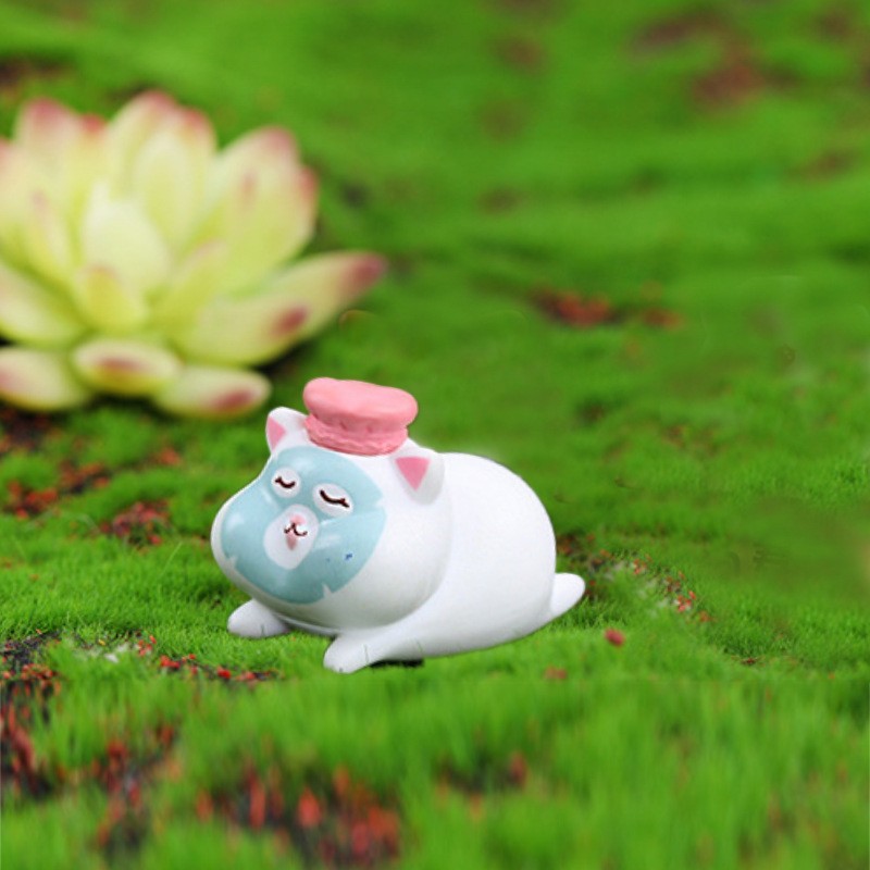 Aplicar mascarilla (gato de belleza)