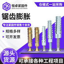 现货锯齿铁膨胀膨胀圣诞树壁虎锯齿彩锌锯齿金属膨胀管彩锌带刺