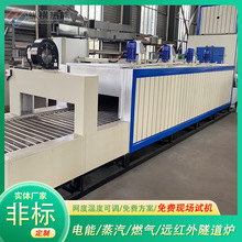 专业隧道炉制造商生产烘干固化烧结低能效行业隧道烘干线设备