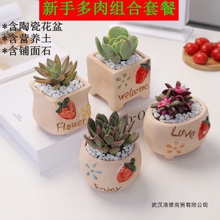 ����ֲ�ﺬ�莧�������ײ����ֽM�����Ժ��B�׻��k�������҃ȾGֲ
