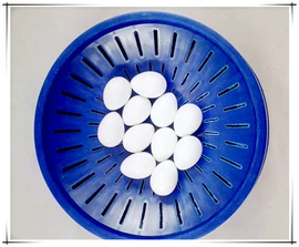 宠物周边用品;其他小宠用品;鸟类