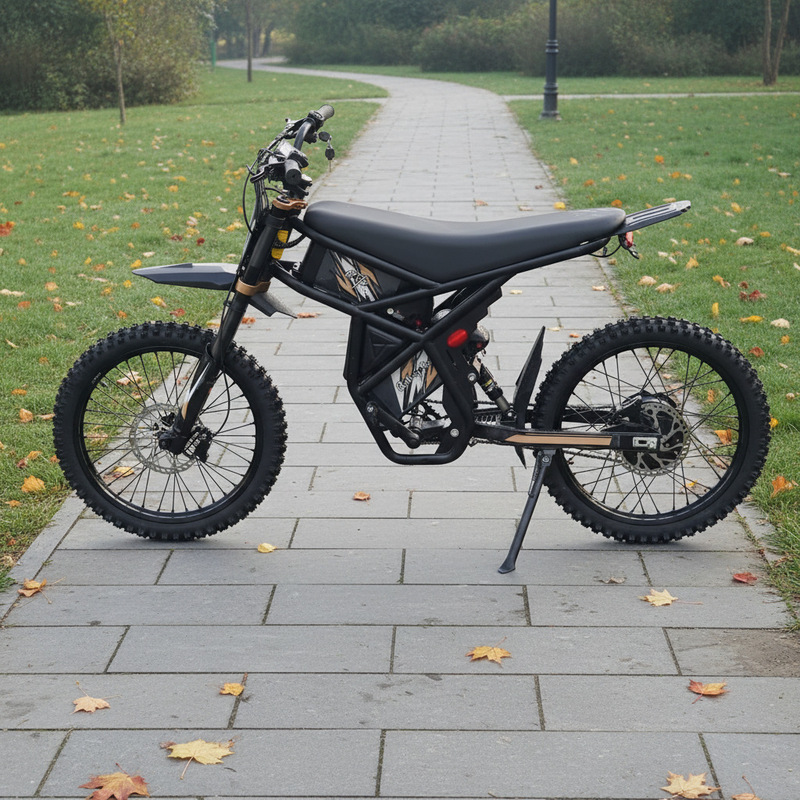 Cross-Border Exclusive Supply of Gt73 Pro Electric Mountain Bikes 3000W, Available in European and American Warehouses