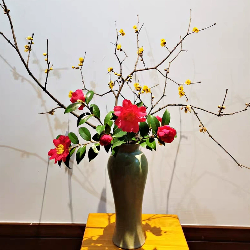 25-30 см простая Европейская ваза керамические украшения оптом вставка сушеный цветок гидропонный дзен цветок фабрика прямых продаж