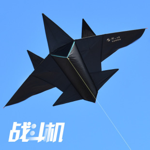 New Kite Collection Aircraft Kite 2025 New Kite Adult Children Cartoon Black Fighter Large..