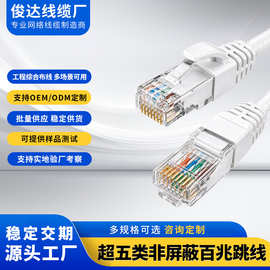 超五类电脑网线 CAT5E路由器监控网络跳线 5类成品网线 源头工厂