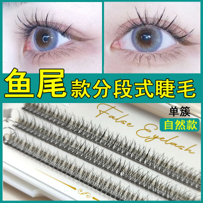不散根假睫毛女分段式单簇 鱼尾朵毛超软鱼骨款仙女自然嫁接搭a型|ms
