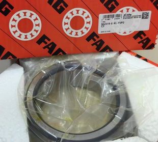 Nu Series German Fag Cylindrical Roller Bearing Nu318E Nu319E-Xl-Tvp2 Inner Ring Removable