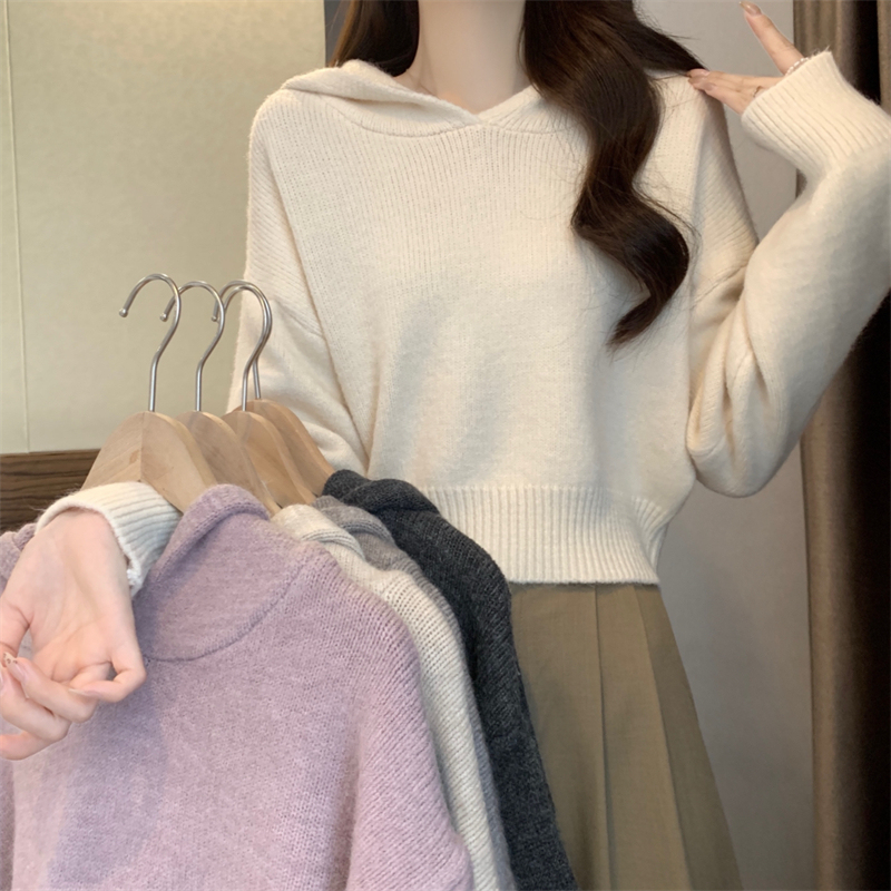 2025 フード付きセーター女性の春と秋の新しいスタイルソフトワックス状ショートスタイル怠惰なルーズ痩身プルオーバーニットトップ|undefined