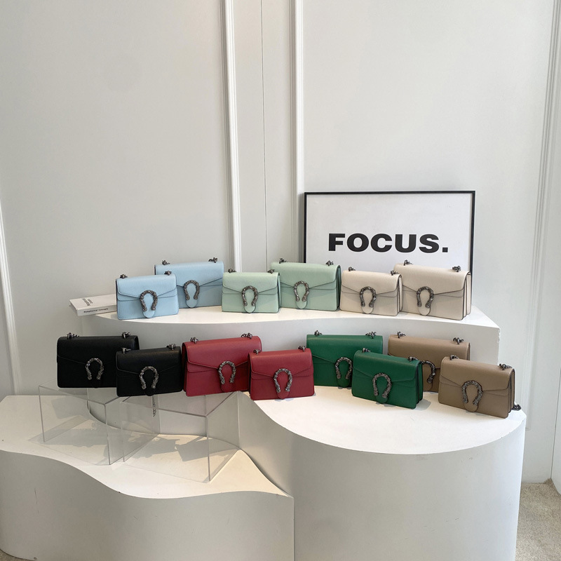 Cross-Border Dionysus Chain Small Square Bag 2026 New Model Light Luxury Versatile High-End Niche Fashion Single Shoulder Crossbody Bag