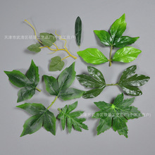 ����Gֲ�~�zӡõ���~ĵ���ջ��~�zƬ��������~�����辰�廨���