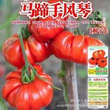 ���L�ٷ��ѷN�ӳ����R�㷬�ѷN���҃��ͺ����ѷN�Ӵ�ȫ���b�S�C