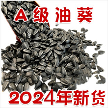 ��������С��������Ϳ����W�^�Bʳ��ς}����ʳ�B�Z���Z5����]