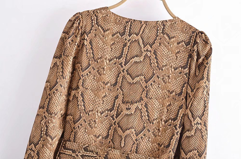 Snake Print Long-Sleeved V-Neck Silk Satin Dress NSXFL101860