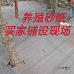 Breeding Sandpaper, Goose Sandpaper, Old Sandpaper for Flooring, House Roof Ridge Tiles, Outdoor Rainproof and Sunproof Breeding Metabo