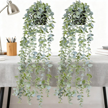 ����Ғ� ֲ�� �����_�ȼ�������~С�ͼ������҃Ƞ����b����l