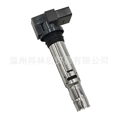 036905100D Ignition Alovlanma bobini (Babinalar)