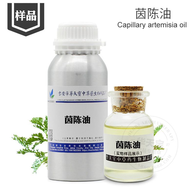 茵陈油 样品5ML 【茵陈精油】天然植物中药精油厂家批发 欢迎咨询