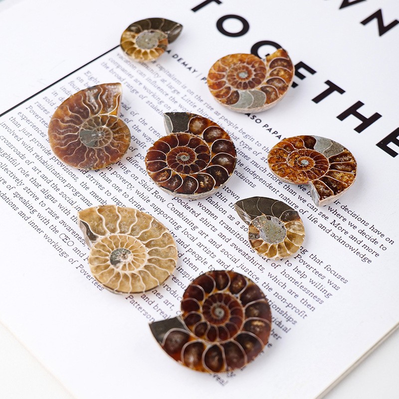 Organic pendant, necklace, natural ore, sample, accessory
