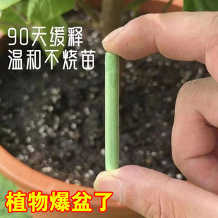 Plant Fertilizer Slow Release Bar Nutrition Bar Flower Fertilizer Potted Nitrogen Phosphorus Potassium Compound Fertilizer Universal Household Flower Slow Release Tablets