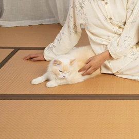 榻榻米床垫;榻榻米;坐垫椅垫