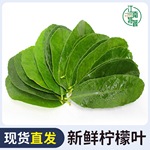 新鲜柠檬叶青柠叶西餐厅香料料理烹饪冷饮奶茶店调料冬阴功汤为溢