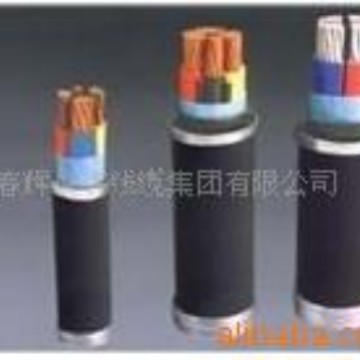 供应聚氯乙烯绝缘和护套船用电力电缆CVV/DV  CVV80/DA