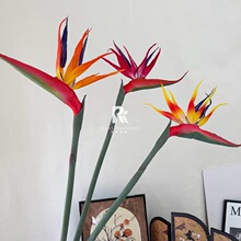 高级感仿真花大天堂鸟假花家居装饰婚庆布景插花道具鹤望兰影楼
