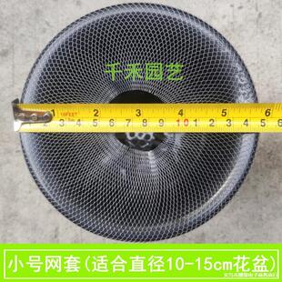 ���ϾW��ֲ��ɢ�仨��W�� ���茣�þW�� ֲ�ϱ��o�W �m����W��