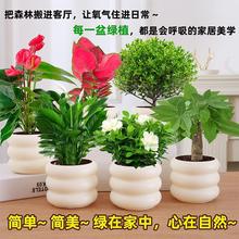 �Gֲ���Ի����҃Ⱥ��B�lؔ���k��������d�ӻ��G�}ˮ��Сֲ�����