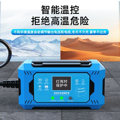 Other Electric Vehicle Accessories Pulse Repairer Charger Intelligent