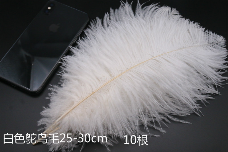 타조깃털 25-30cm 5개