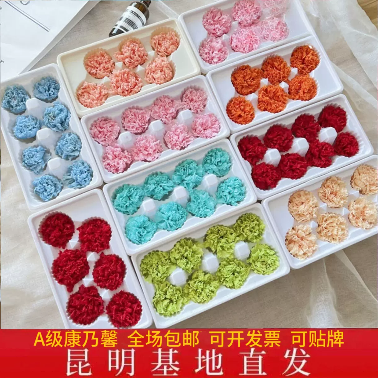 A级永生花康乃馨干花保鲜花 手工DIY材料包花店摆摊 云南工厂直发