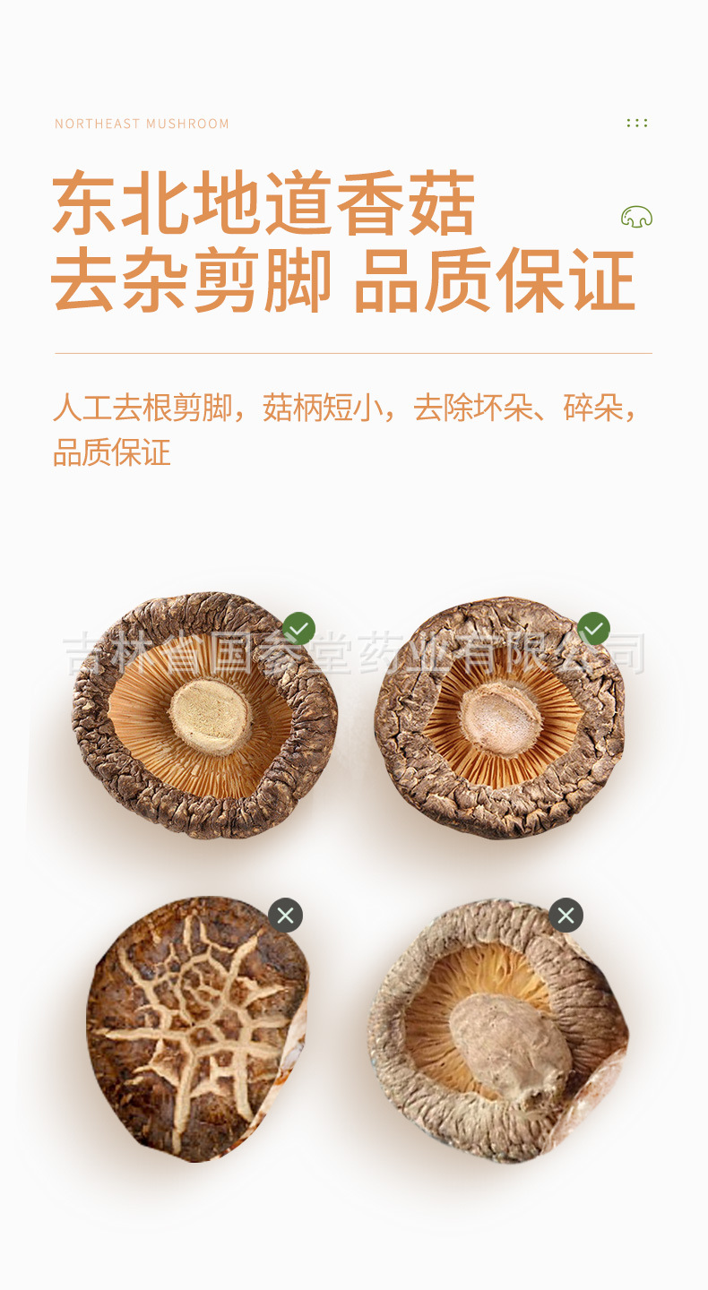 香菇_05.jpg