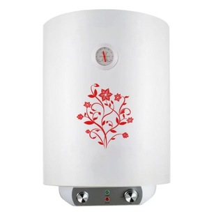 �Ҽј��S��ֱ�N2025��ӟ��u80L����ʽ늟�ˮ�� �W�� �~�ӟ��