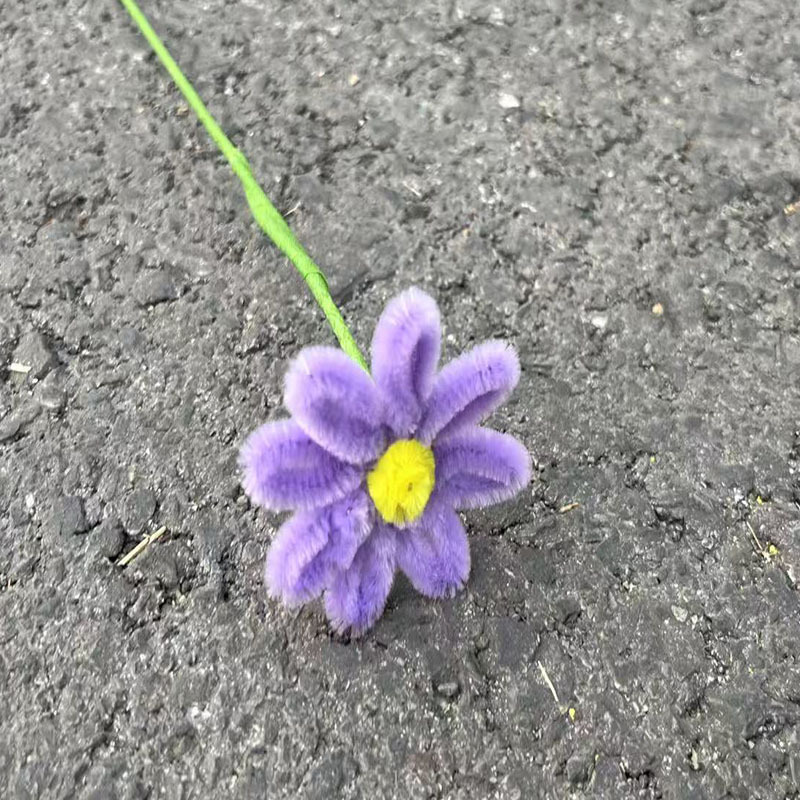 중간 보라색 단일 머리 [작은 데이지