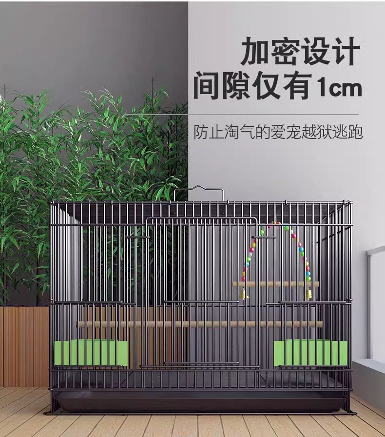 3804e802-42cb-40c6-a7cf-2aa0ad41b869.jpe