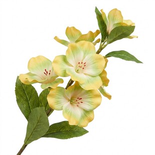 �羳���x�¿�߷����P�ɻ��ٻ��������⻨�@�̨�����bҾӾƵ�