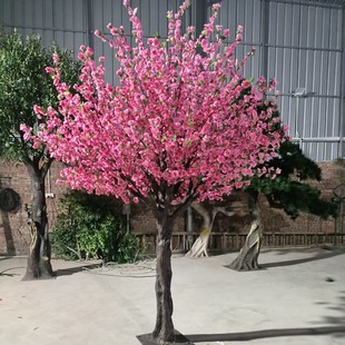 ���S�������^�쾰��ɽ�b�ʯ�^�����ͥԺ�b���ģ�͔zӰ���߬F