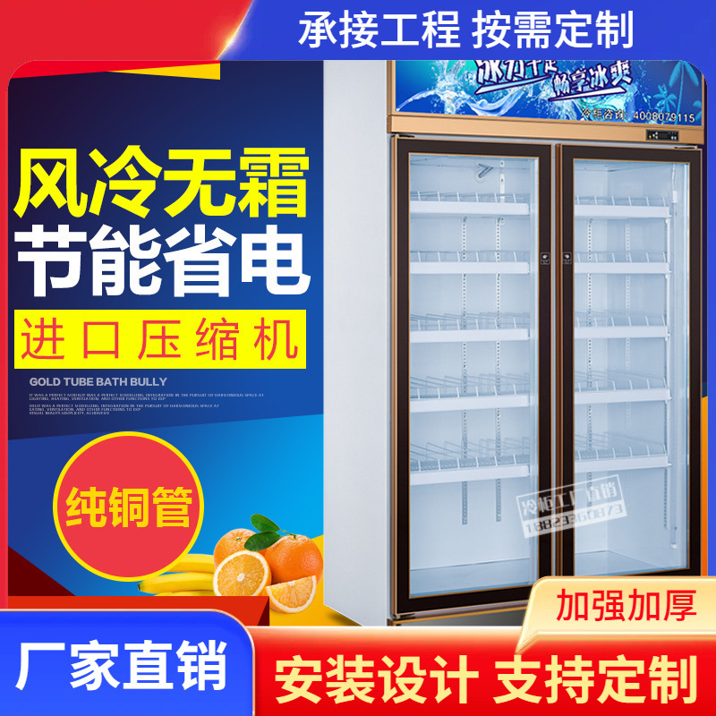双门饮料展示柜冰柜便利店对开门立式饮料柜便利店冷柜冷藏带门