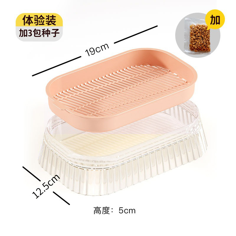 Plantas en maceta para gatos para mascotas transfronterizas, caja de plantación hidropónica sin suelo, plato de cultivo, bocadillos para gatos, menta gatera al por mayor