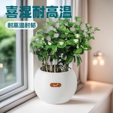 ���������Ԏ������Ϙ��L܇���^�������ˮ�໨�ܴ�ȫ�Gֲ���҃�