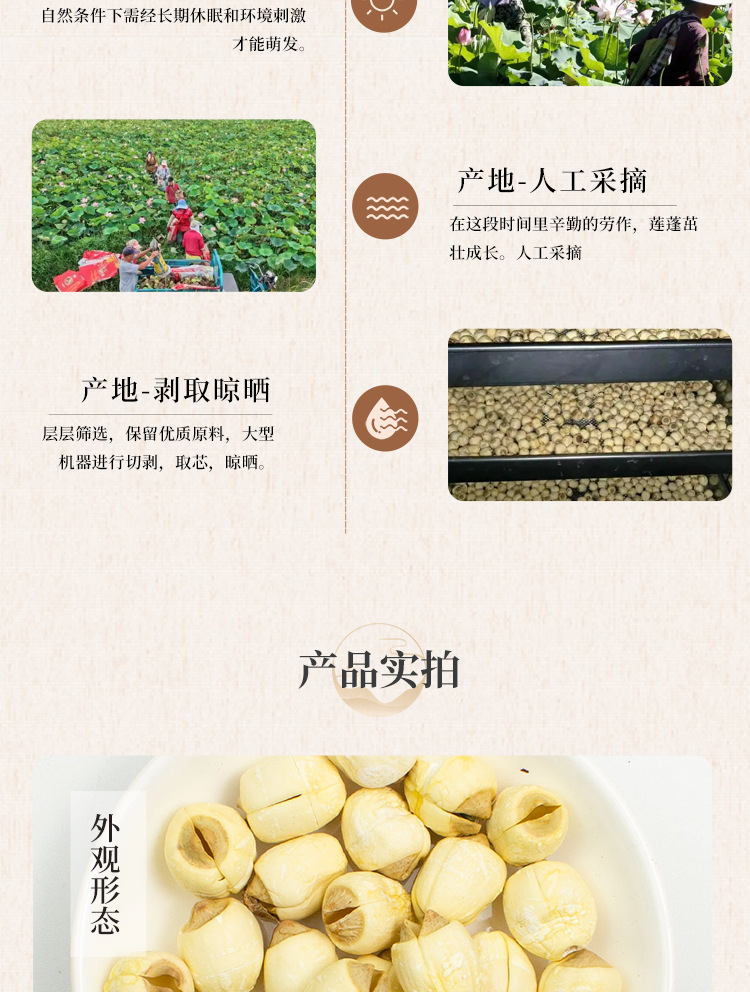 White Lotus Seeds Bai Lian Zi 500g Dried Peeled Core-Removed Nelumbo nucifera Seeds for Soup Congee and Herbal Tea quality and texture